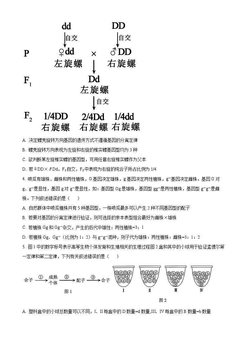 精品解析：河南省商丘市2023-2024学年高一下学期5月联考生物试题（原卷版）第2页
