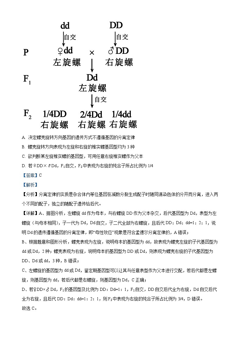 精品解析：河南省商丘市2023-2024学年高一下学期5月联考生物试题（解析版）第3页
