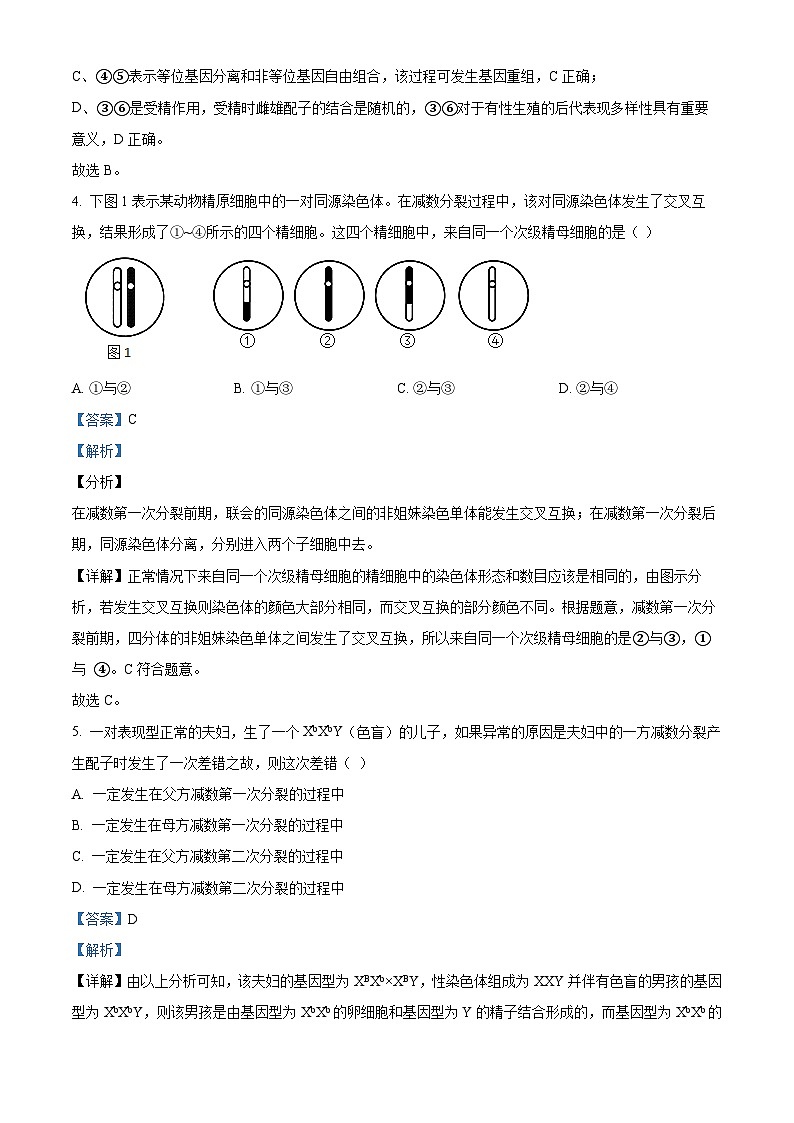 精品解析：黑龙江省牡丹江市第二高级中学2023-2024学年高一下学期6月月考生物试卷（解析版）第3页