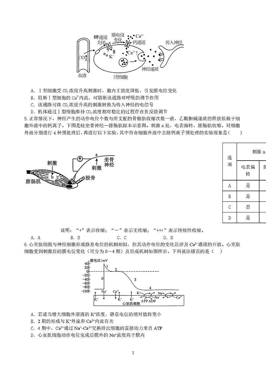 山东省济南市山东师范大学附属中学2025-2026学年高二上学期1月阶段测试生物试题（月考）第2页