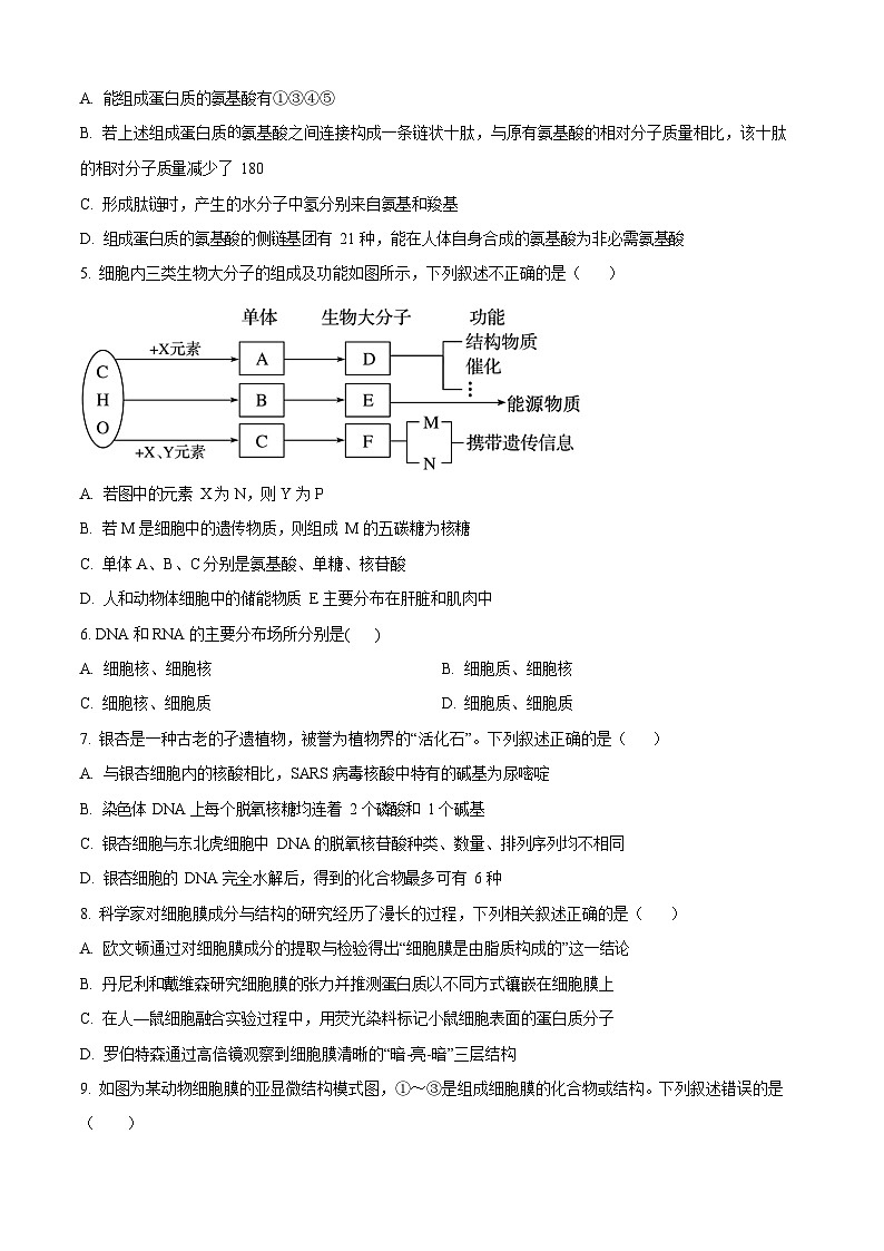 黑龙江省大庆市大庆中学2025-2026学年高一上学期1月期末考试生物试题第2页