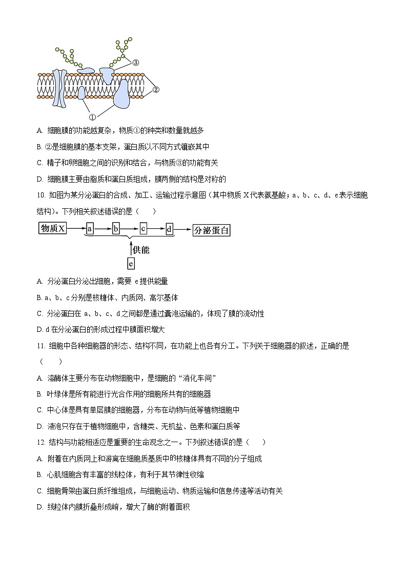 黑龙江省大庆市大庆中学2025-2026学年高一上学期1月期末考试生物试题第3页