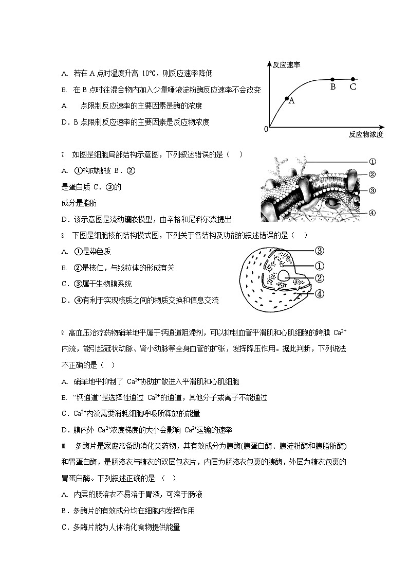 四川省内江市第一中学2025-2026学年高一上学期12月月考生物试题第2页