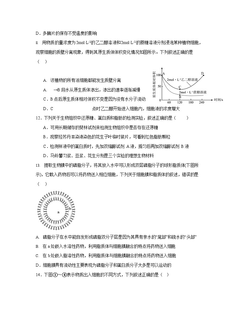 四川省内江市第一中学2025-2026学年高一上学期12月月考生物试题第3页