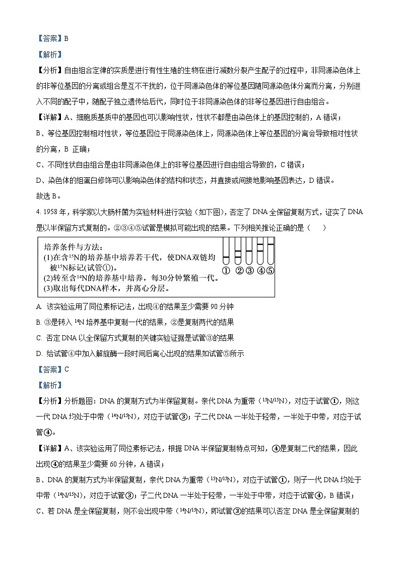 精品解析：湖北省武汉市部分重点中学联考2023-2024学年高一下学期6月期末生物试题（解析版）第3页