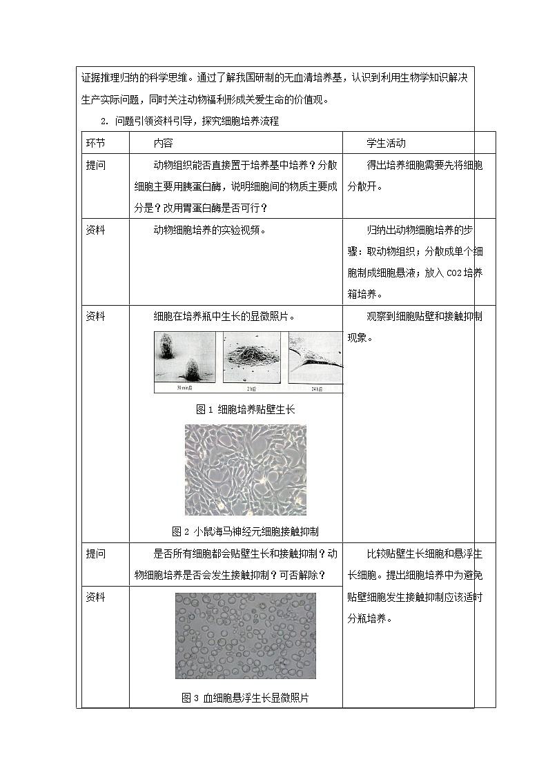 人教版高中生物学 选修3 生物技术与工程2.1动物细胞培养表格式教案第3页