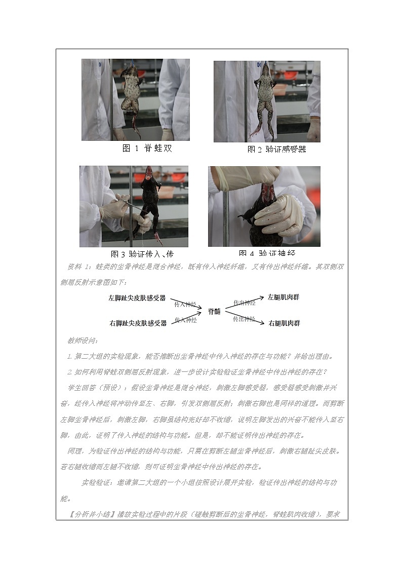 人教版高中生物学 选修1 稳态与调节2.2神经调节的基本方式表格式教案第3页