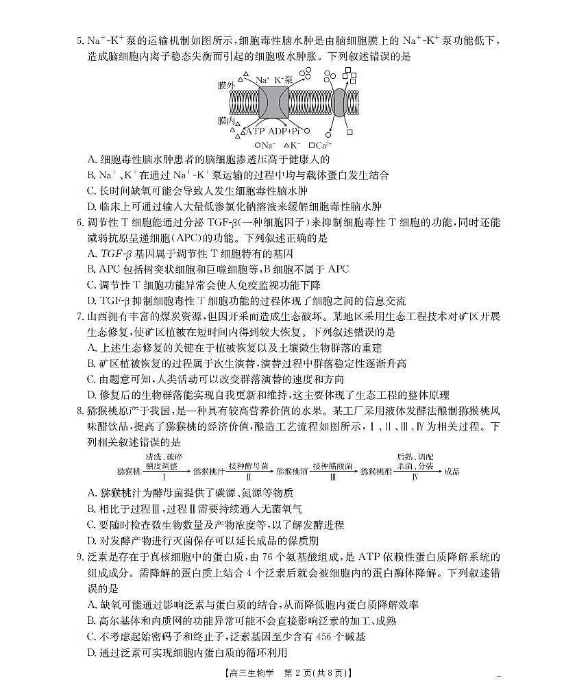 内蒙古2026届高三上学期12月联考（26-145C）生物试卷+答案第2页
