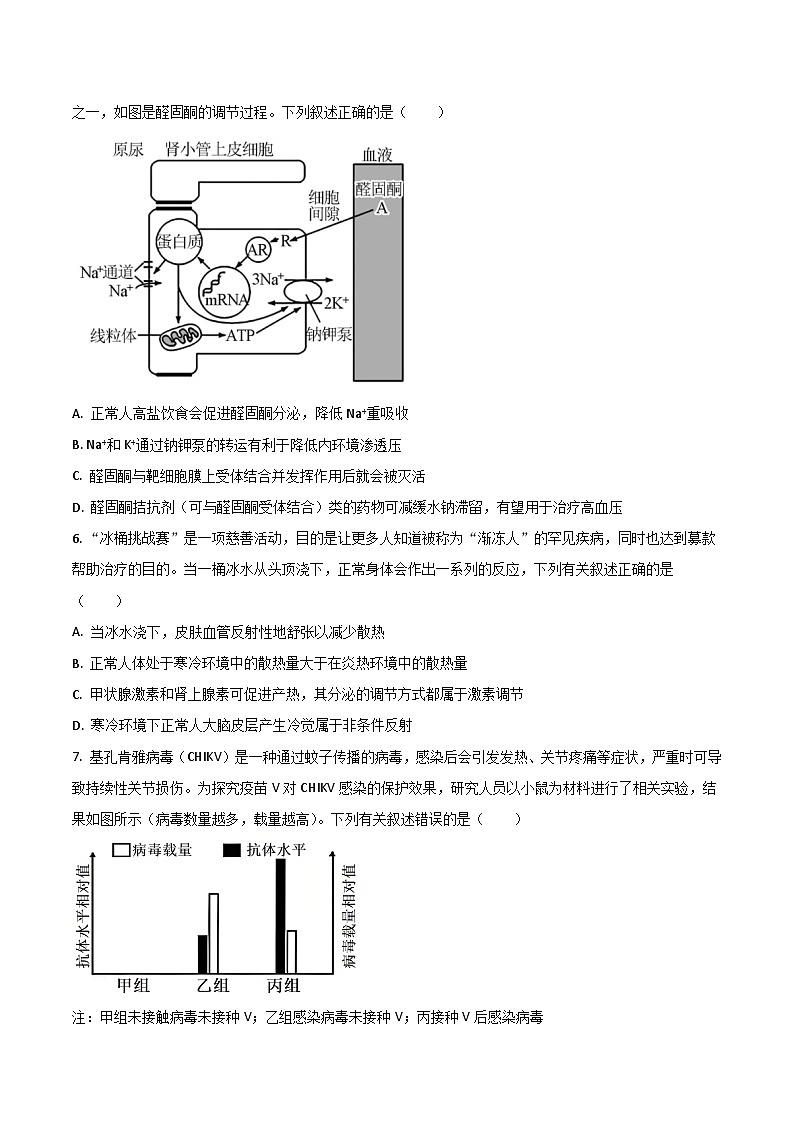 广东省八校联盟2025-2026学年高二上学期教学质量检测（二）生物试卷（Word版附答案）第3页