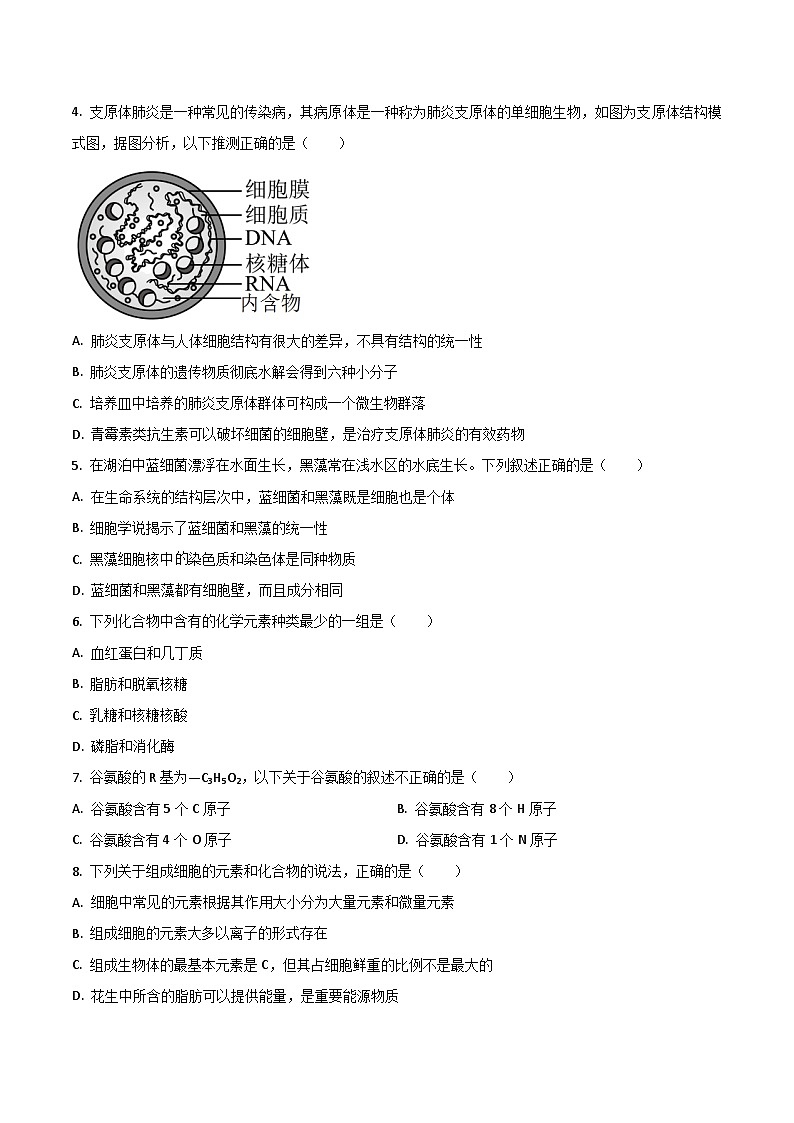 广东省八校联盟2025-2026学年高一上学期教学质量检测（二）生物试卷（Word版附答案）第2页