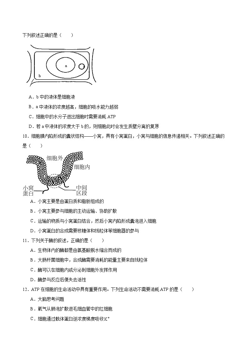 河北省部分学校2025-2026学年高一上学期12月联考生物试卷（Word版附答案）第3页