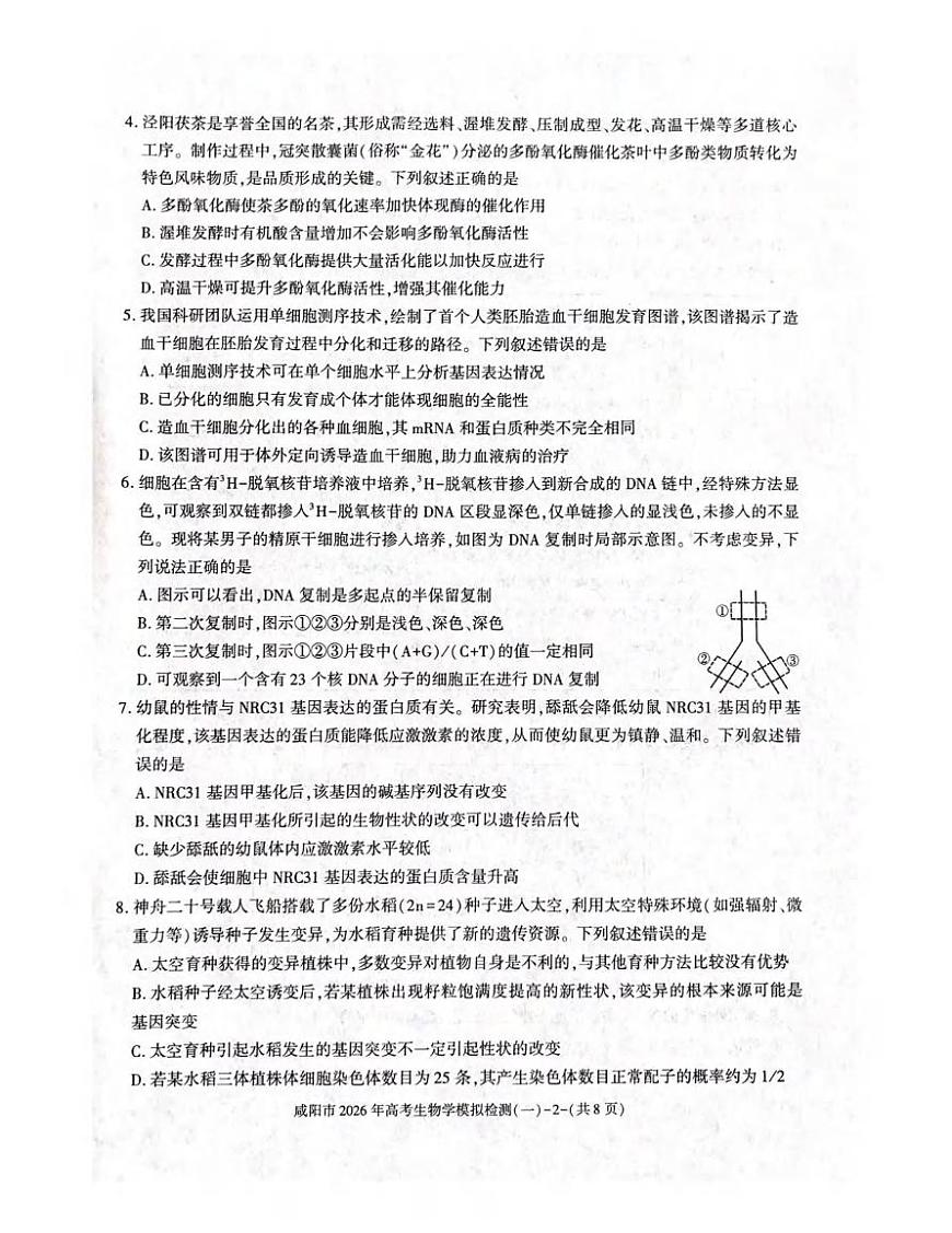 生物丨陕西省咸阳市2026届高三上学期1月高考模拟检测（一）试卷及答案第2页