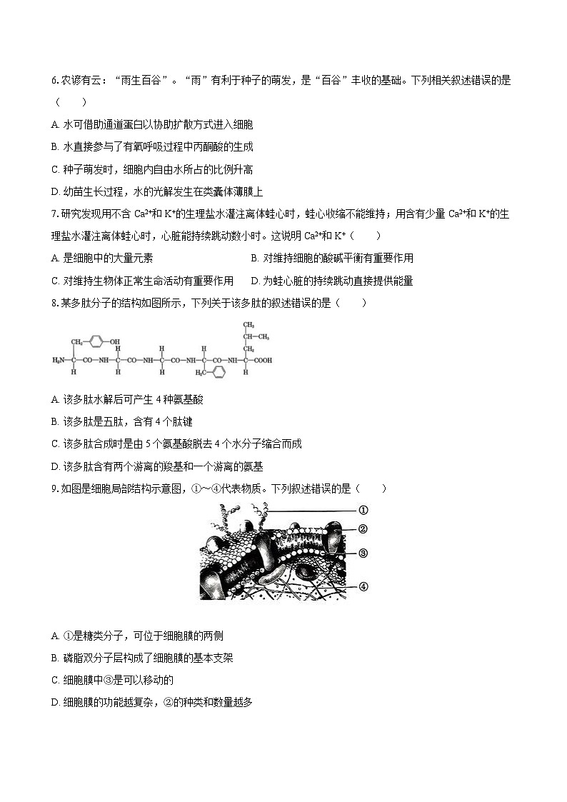 甘肃省兰州市新区多校2025-2026学年高一（上）期末生物试卷第2页