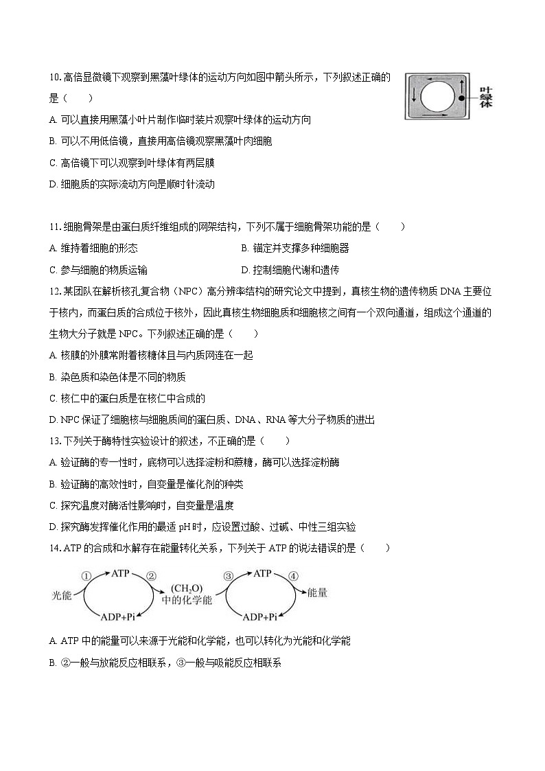 甘肃省兰州市新区多校2025-2026学年高一（上）期末生物试卷第3页