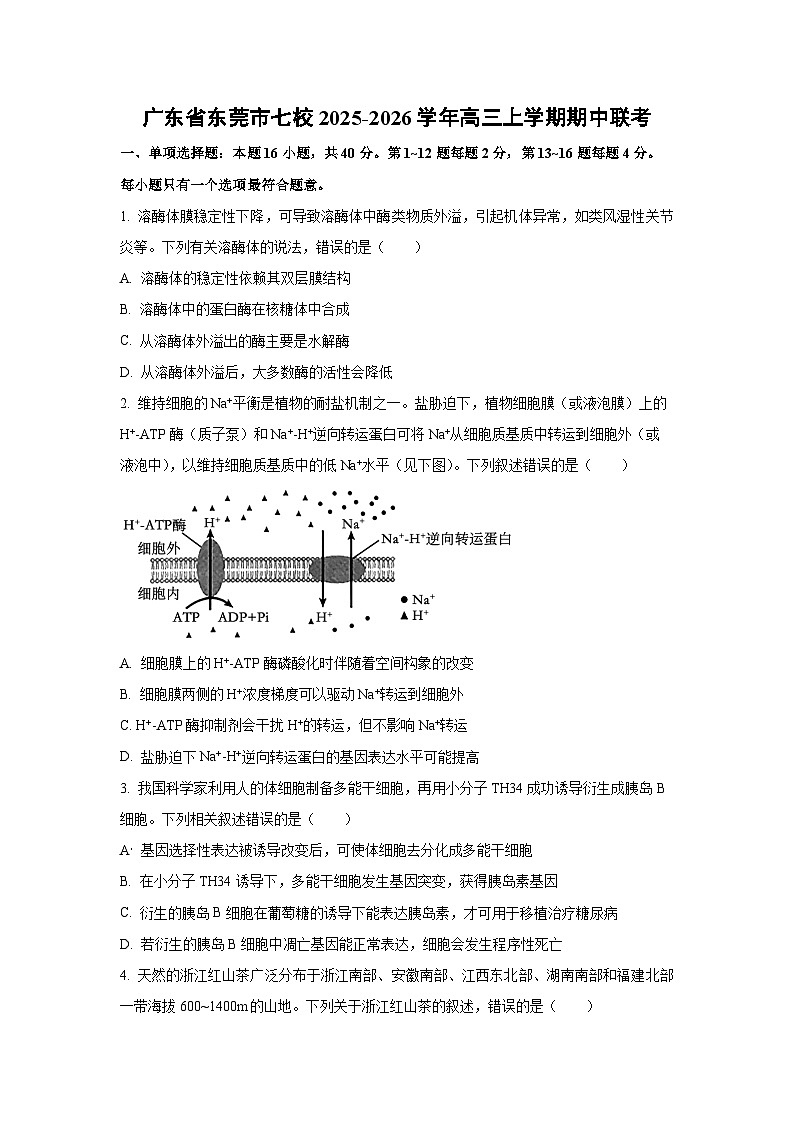 2025-2026学年广东省东莞市七校高三上学期期中联考生物试卷（学生版）第1页
