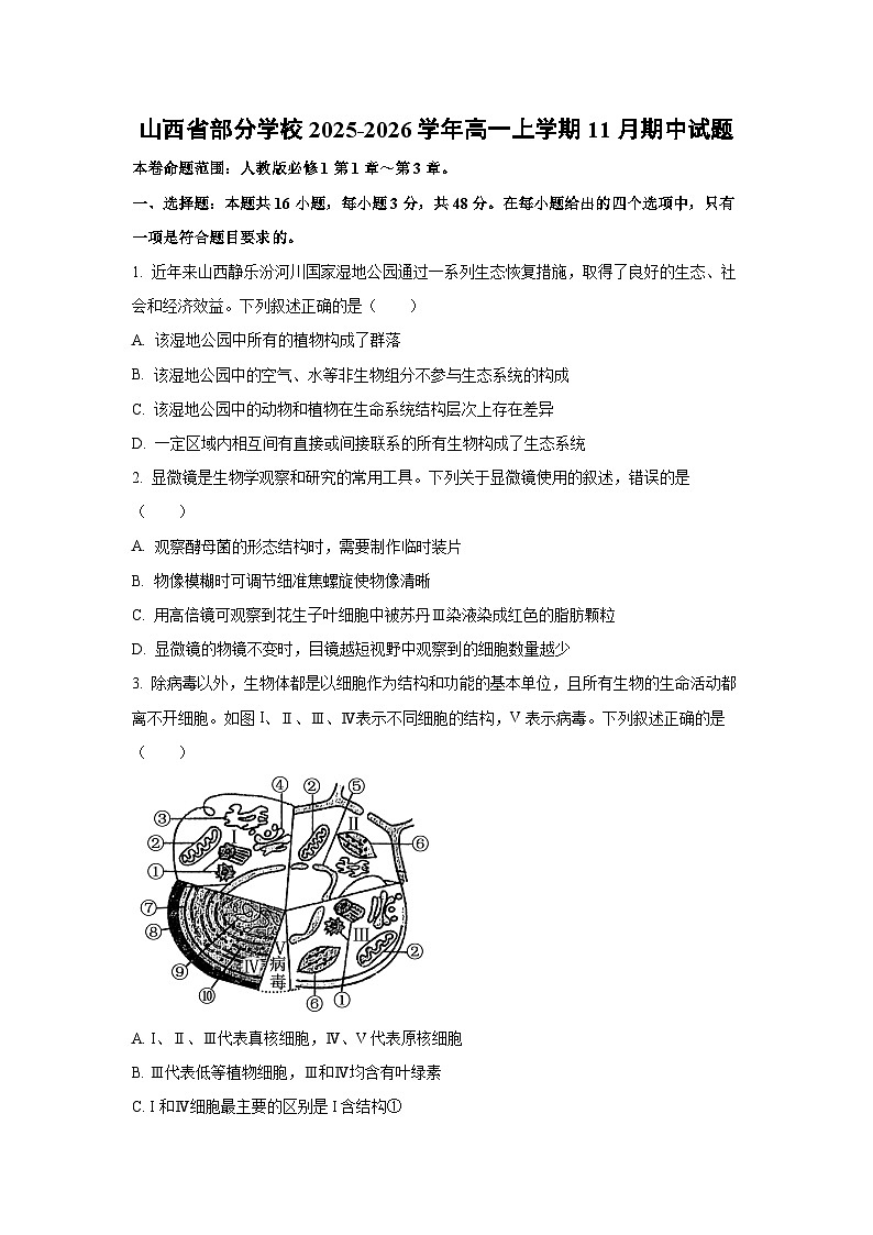 2025-2026学年山西省部分学校高一上学期11月期中生物试卷（学生版）第1页