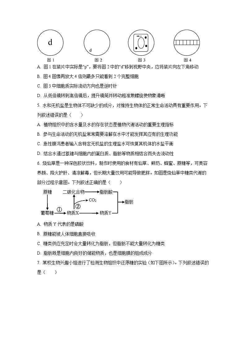 2025-2026学年山西省太原市某校高一上11月半月考生物试卷（学生版）第2页