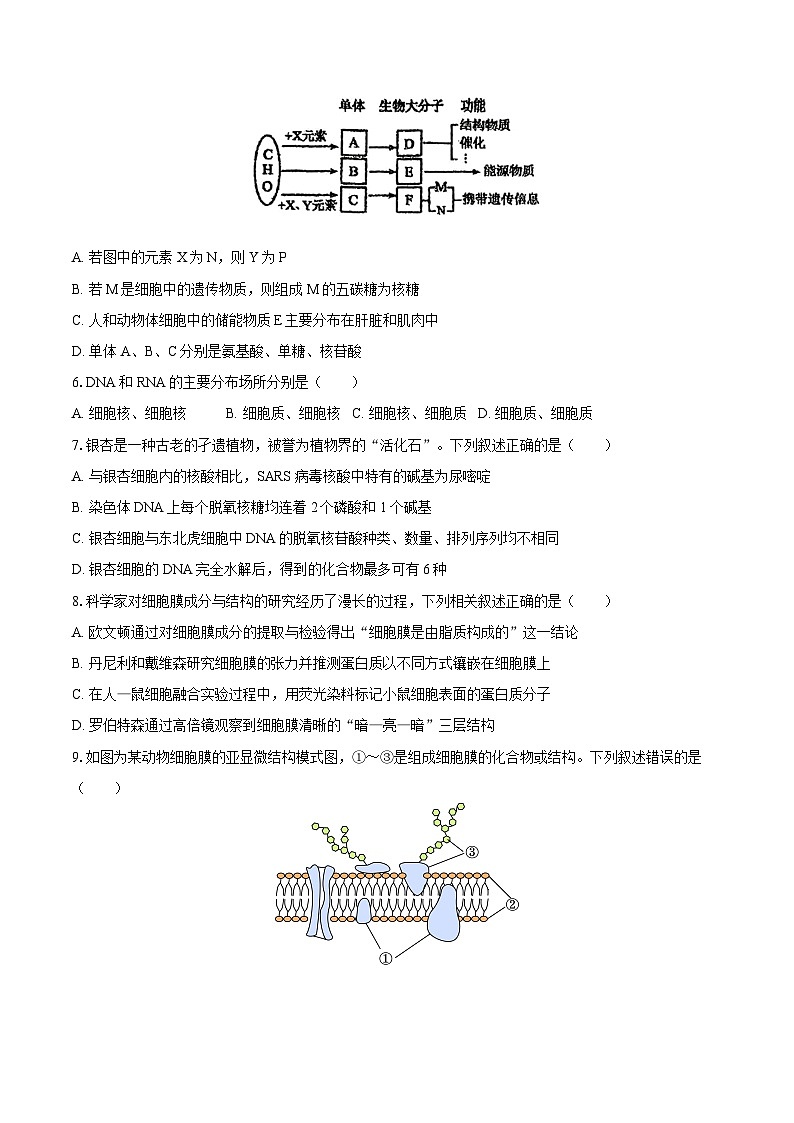 黑龙江省大庆中学2025-2026学年高一（上）期末生物试卷第2页