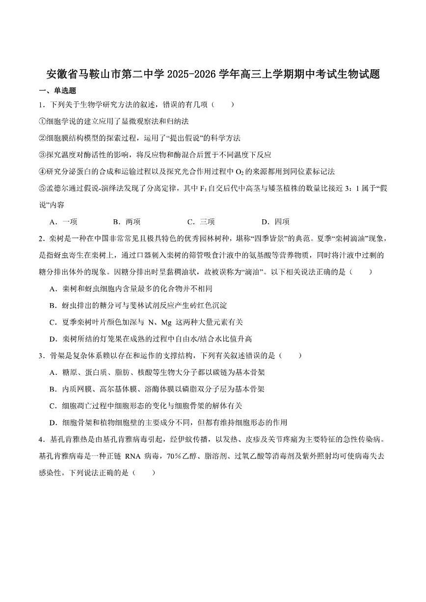 安徽省马鞍山市第二中学2026届高三上学期期中考试生物（含答案）试卷第1页