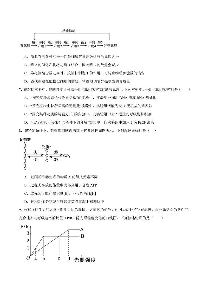 安徽省马鞍山市第二中学2026届高三上学期期中考试生物（含答案）试卷第3页