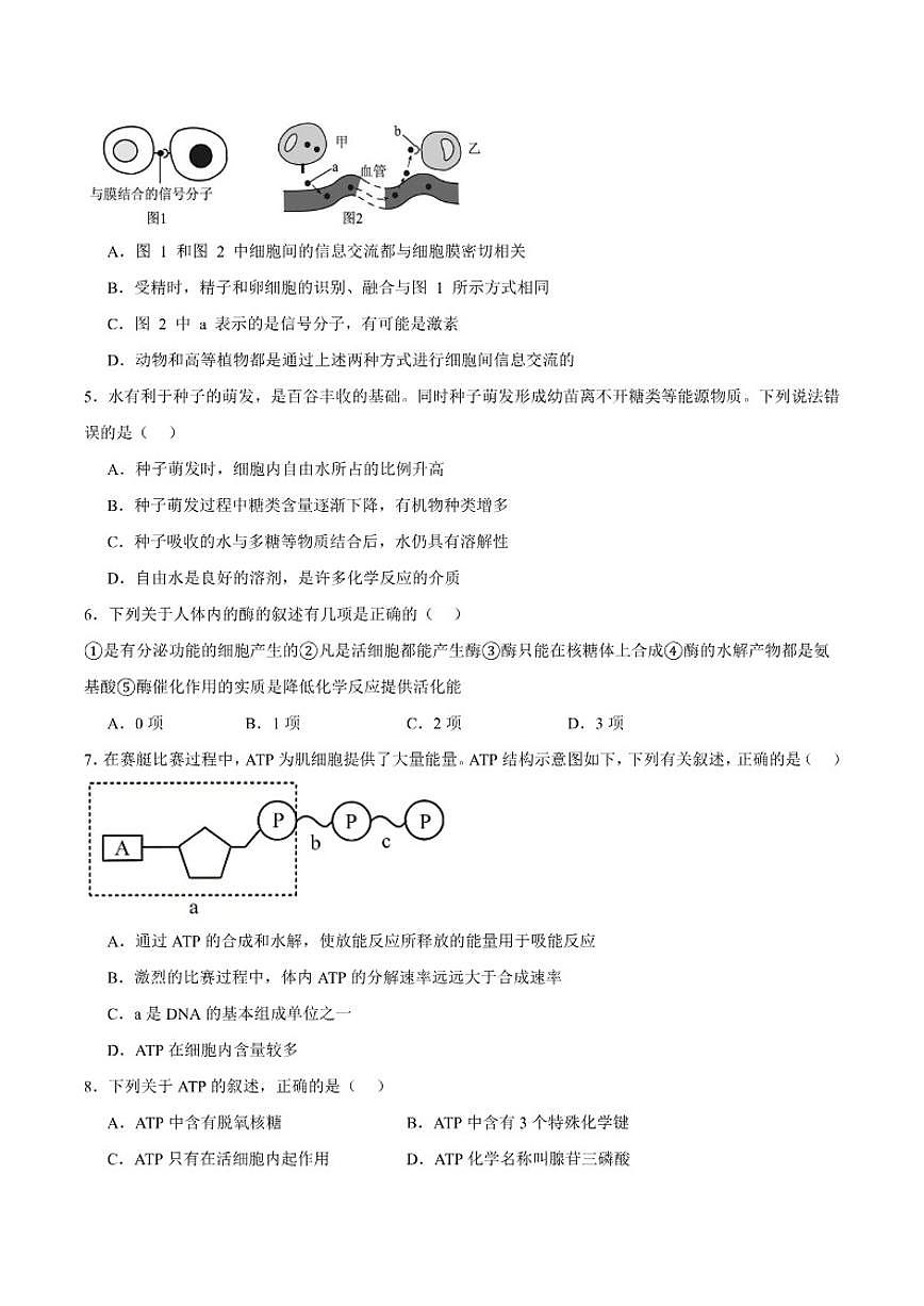 2025-2026学年陕西省渭南市大荔县大荔中学高一上学期第三次阶段质量检测生物（含答案）试卷第2页