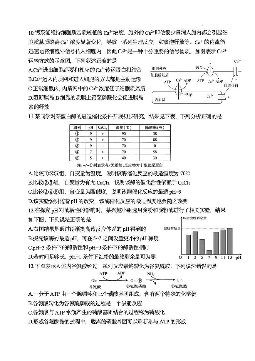 2025-2026学年河南省焦作市第一中学高一上学期1月月考生物学（含答案）试卷第3页