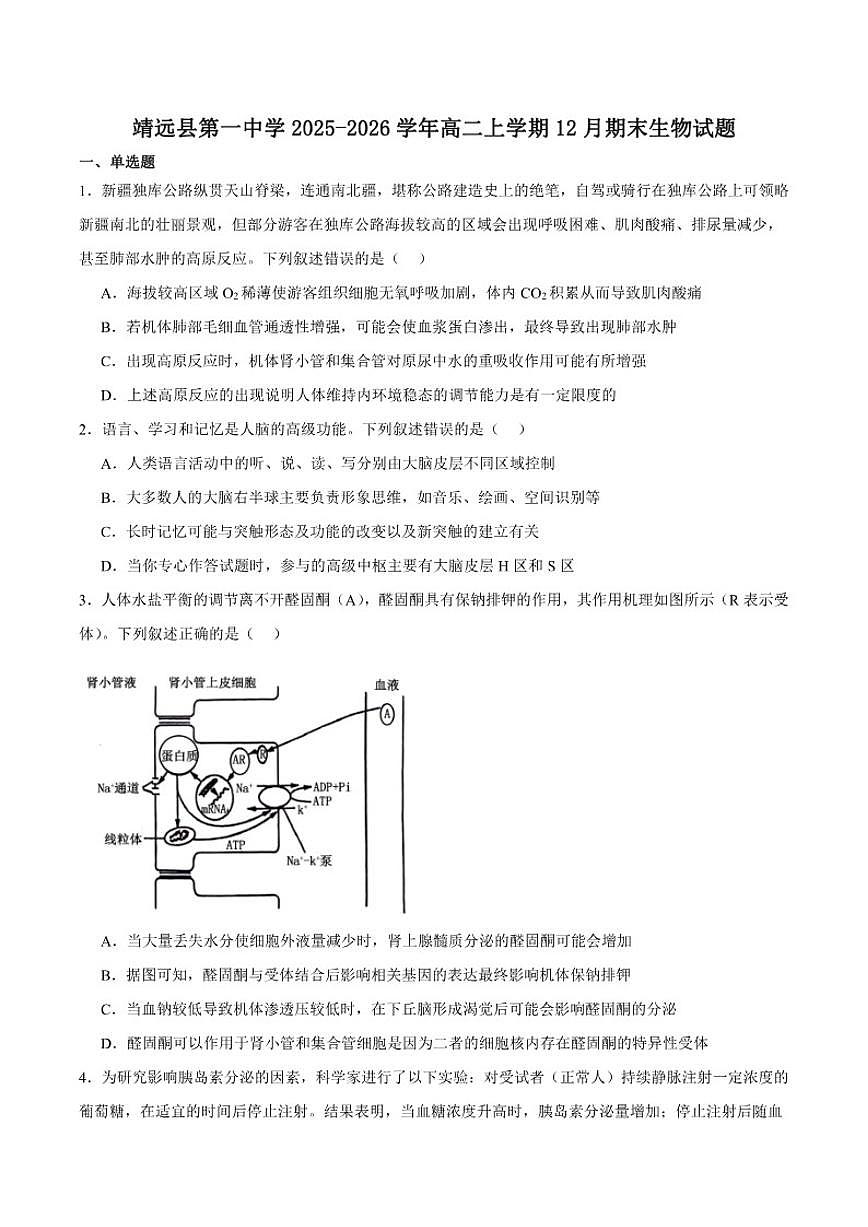 2025-2026学年甘肃省白银市靖远县第一中学高二上学期期末模拟生物（含答案）试卷第1页