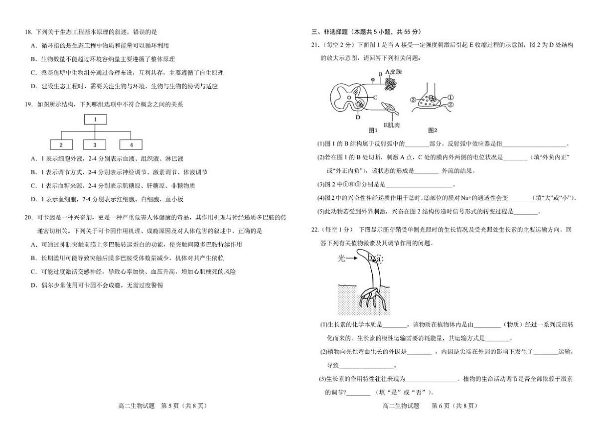 2025-2026学年吉林省友好学校第80届联考高二上学期1月期末生物学试题_(含答案_)第3页