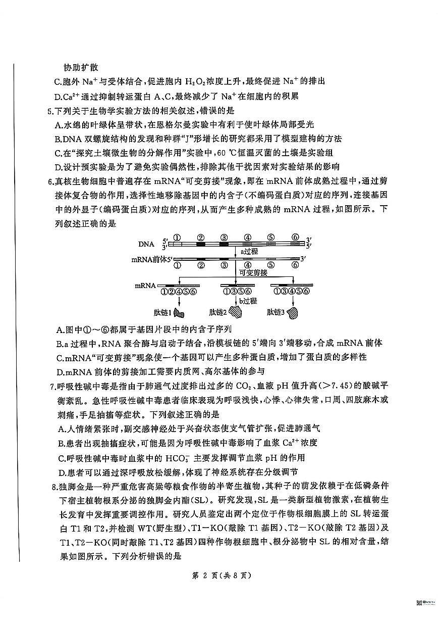 2025-2026学年河北省联考高三上学期1月月考生物试题（含解析）第2页