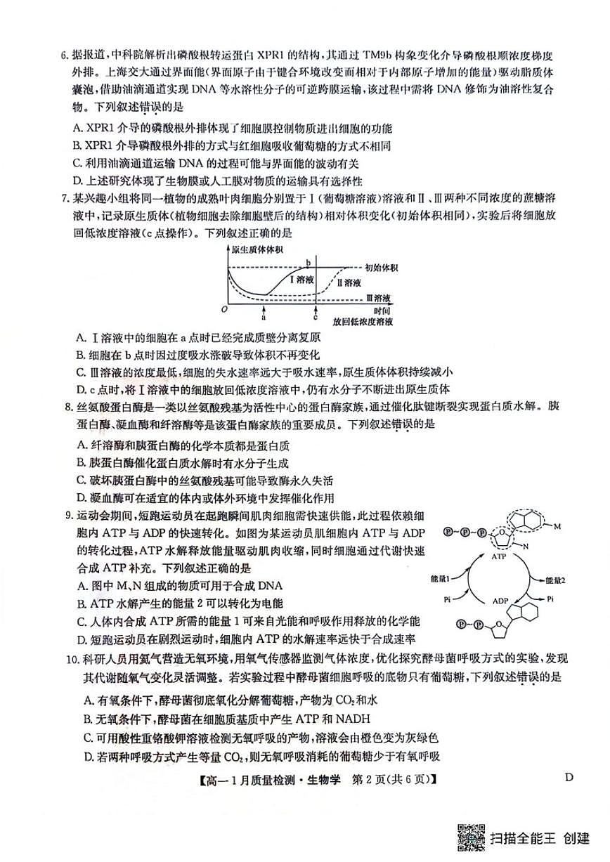 2025-2026学年黑龙江省齐齐哈尔市高一上学期1月期末联考生物试题_(含答案_)第2页
