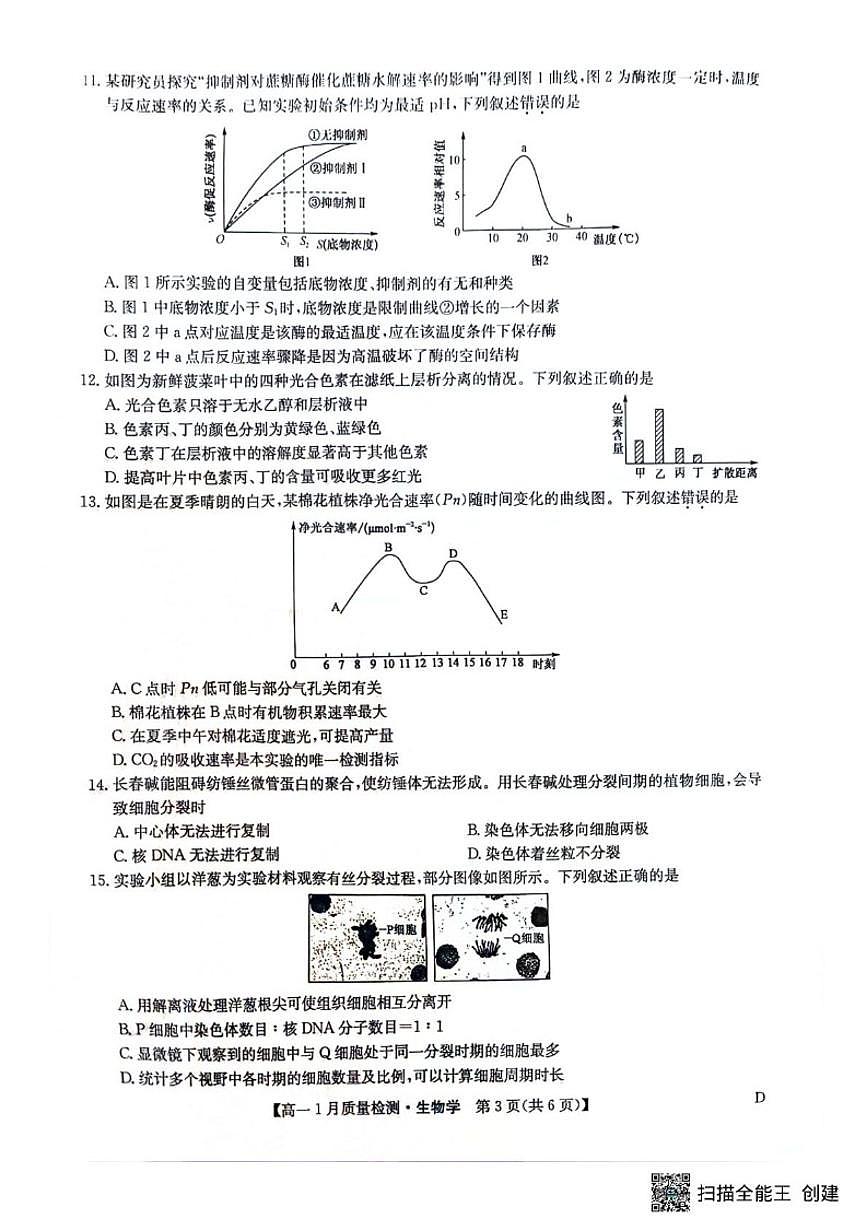 2025-2026学年黑龙江省齐齐哈尔市高一上学期1月期末联考生物试题_(含答案_)第3页
