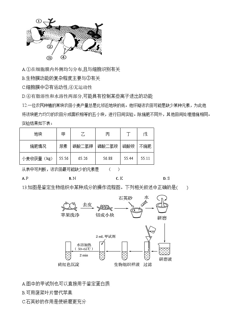 福建省福州市长乐第一中学高一上学期第一次月考生物试题（培青班）(1)-A4第3页