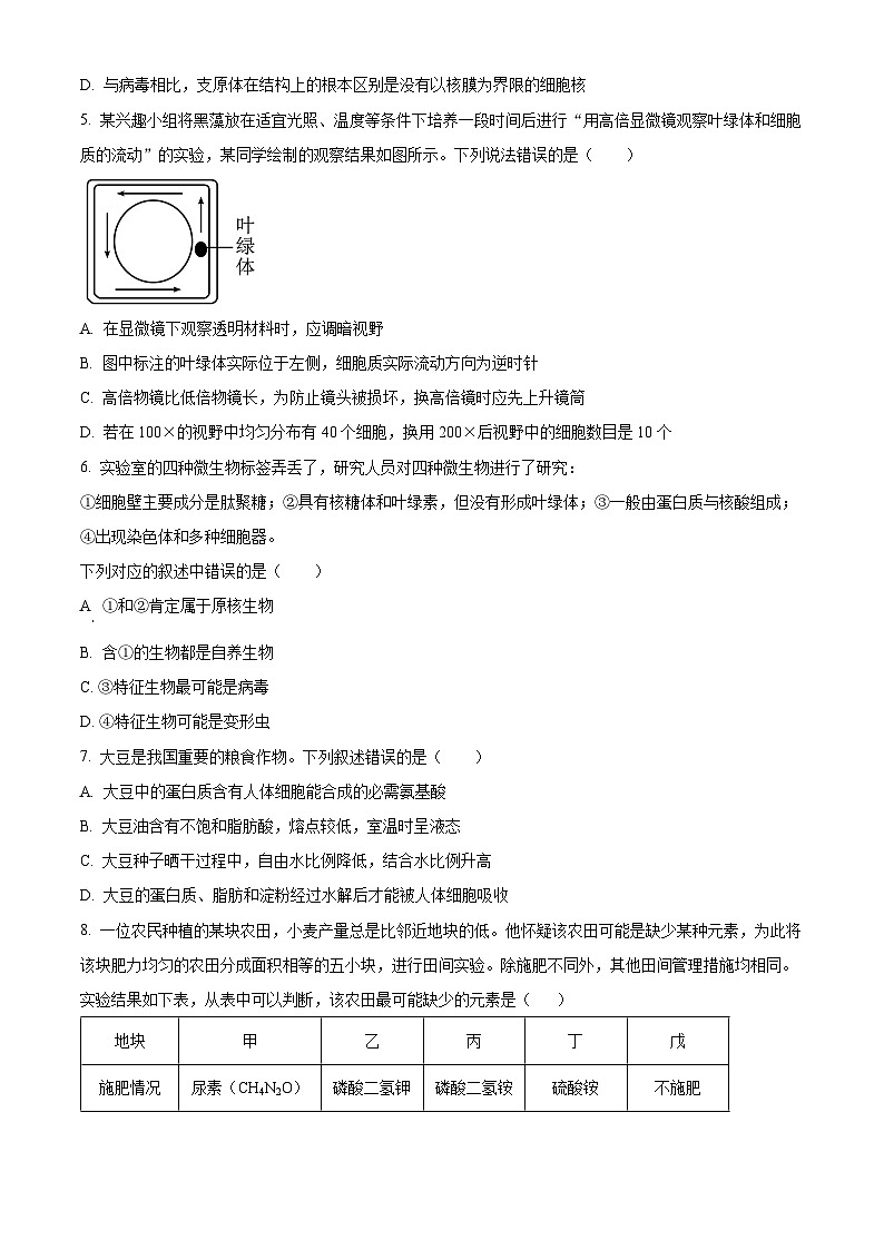精品解析：四川省成都市树德中学2024-2025学年高一上学期10月月考生物试题（原卷版）第2页