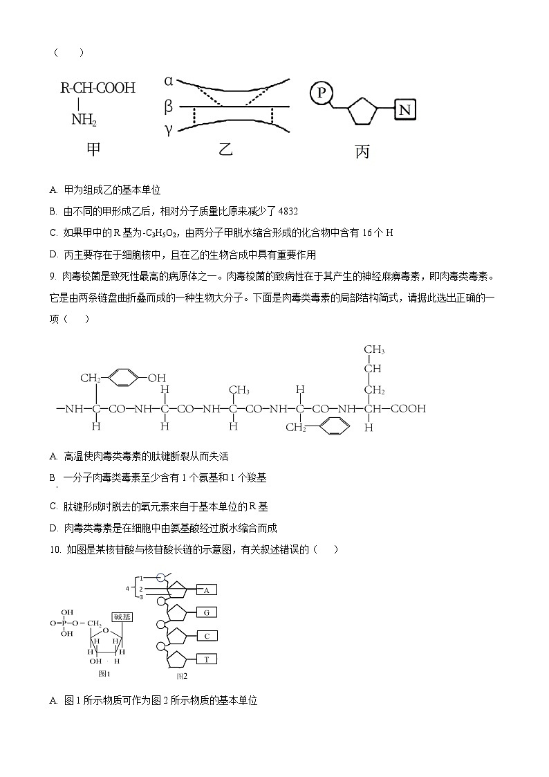 精品解析：重庆市长寿区重庆市长寿中学校2024-2025学年高一上学期12月月考生物试题（原卷版）第3页