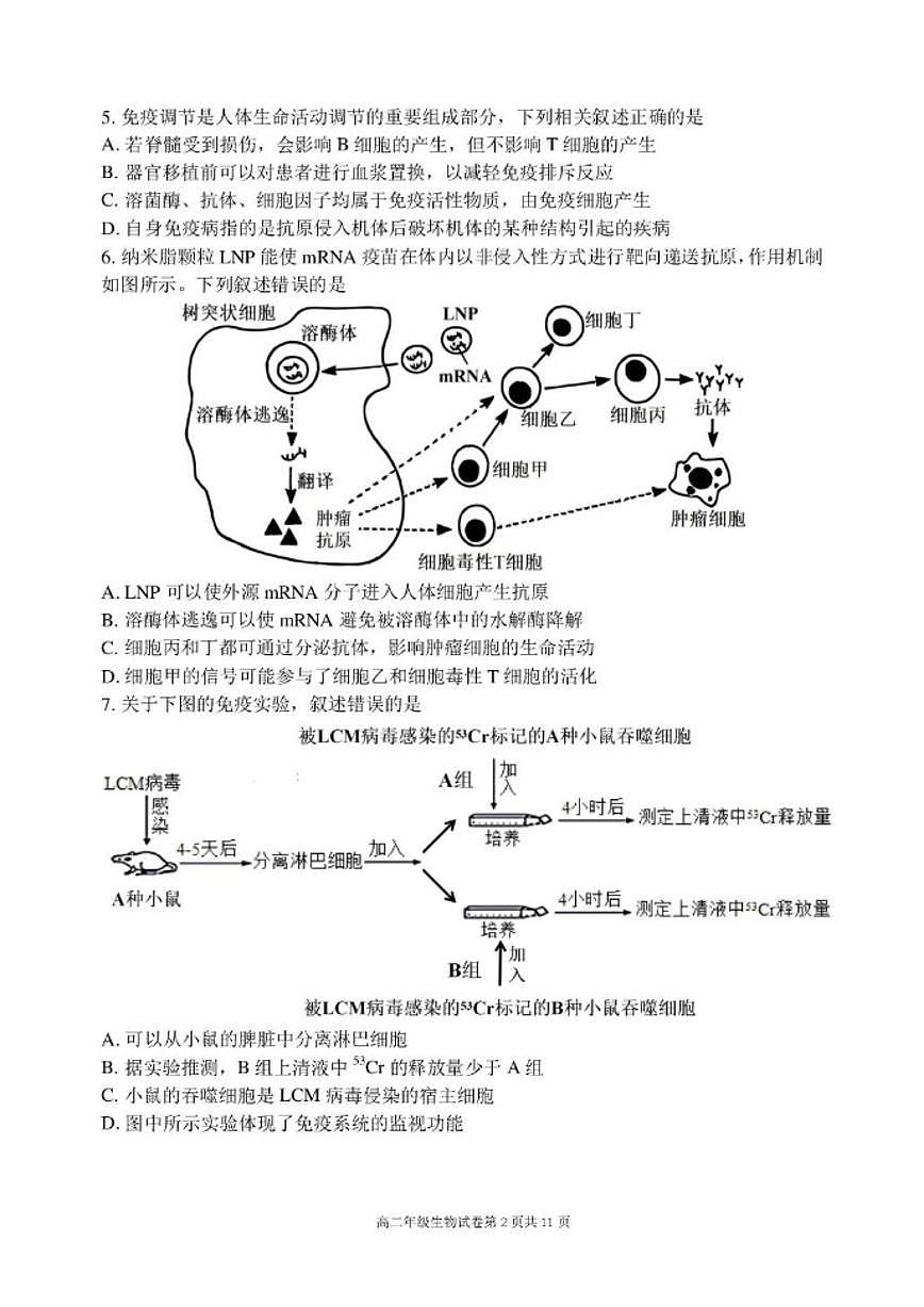 2025-2026学年辽宁省沈阳市实验中学高二上学期期末生物试题（含答案）第2页