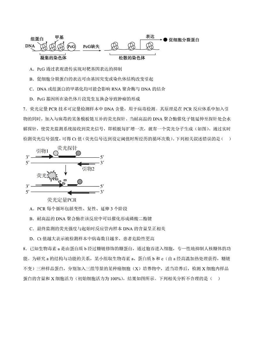 安徽省合肥市第一中学2026届高三上学期12月教学质量测评生物试卷（含答案）第3页