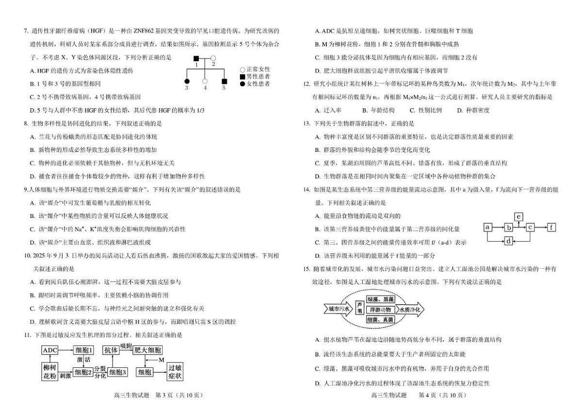 吉林省友好学校2026届高三上学期第80届期末联考生物试卷（含答案）第2页
