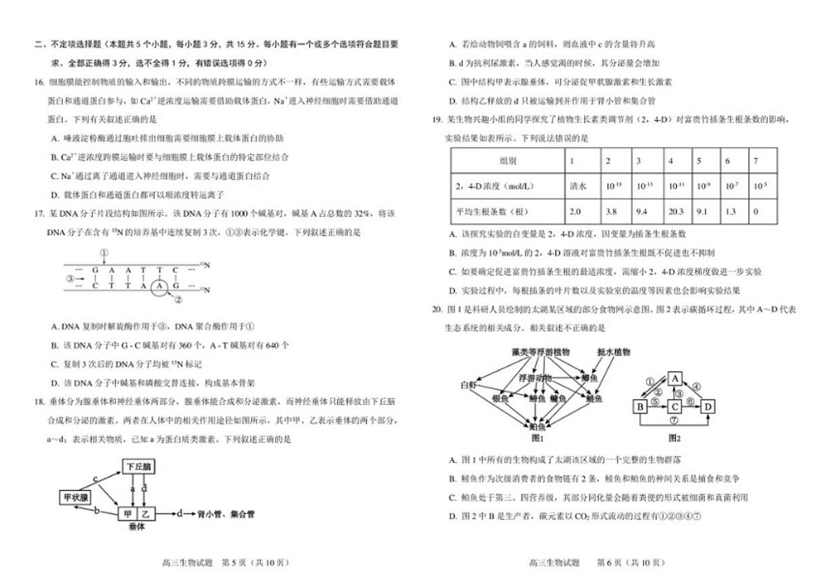 吉林省友好学校2026届高三上学期第80届期末联考生物试卷（含答案）第3页