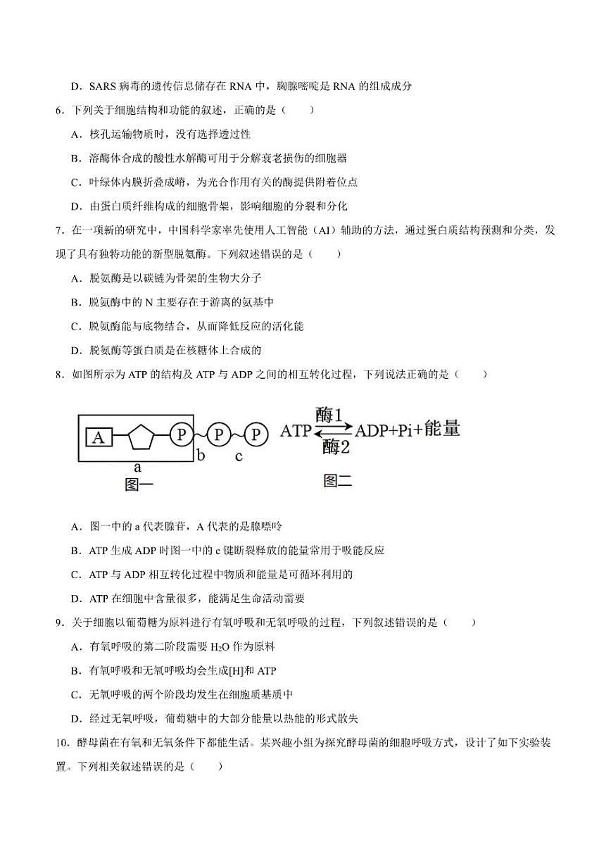 宁夏中卫市海原县第一中学2026届高三上学期12月质量检测生物试卷（含答案）第2页