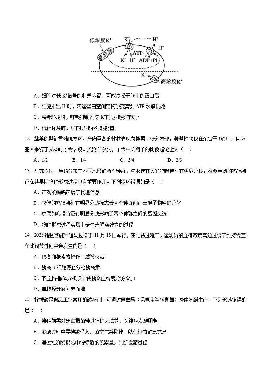 浙江省绍兴市诸暨市2026届高三上学期12月诊断性考试生物（含解析）试卷第3页