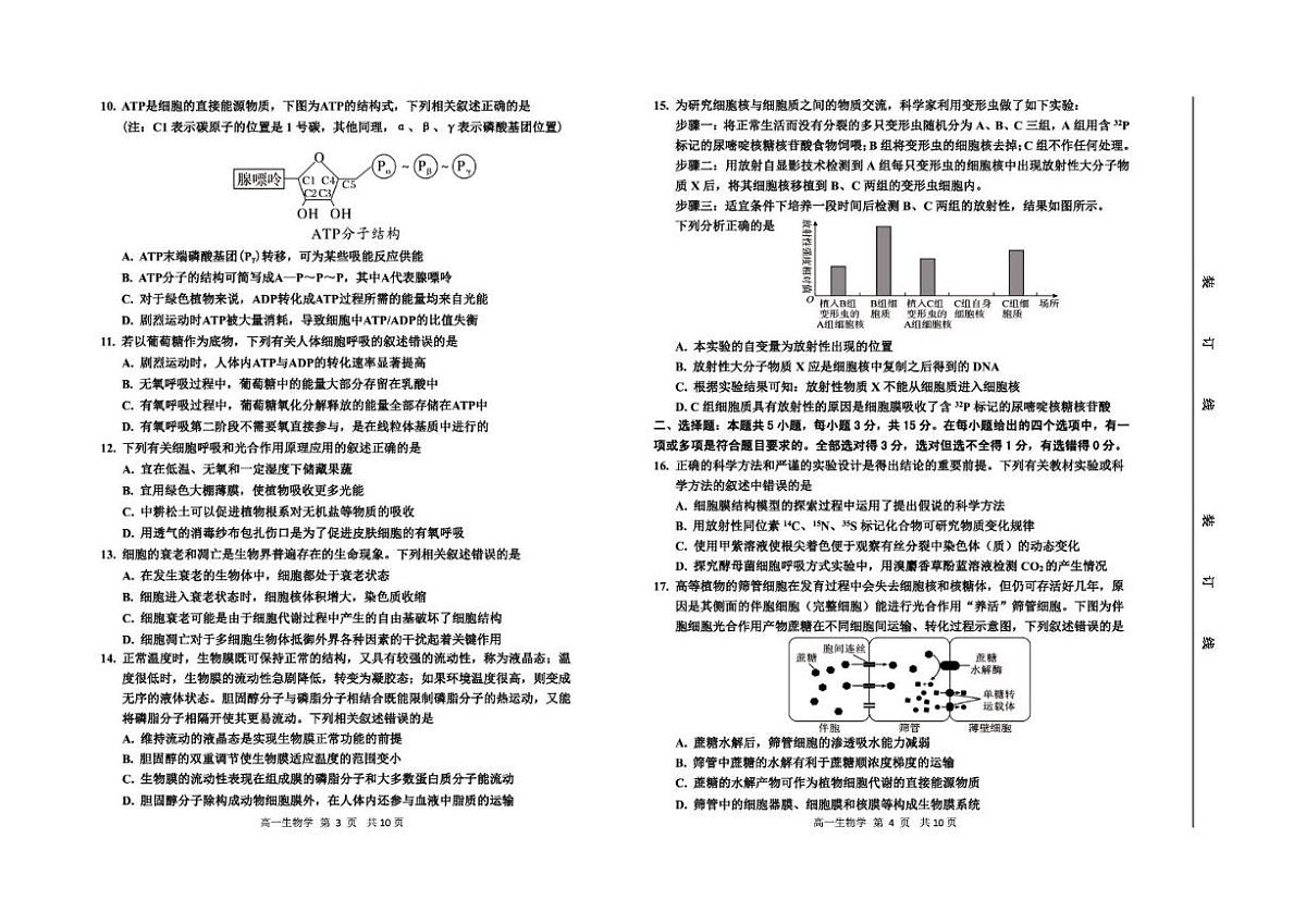 2025-2026学年吉林省延边朝鲜族自治州高一上学期期末生物试卷（含答案）第2页