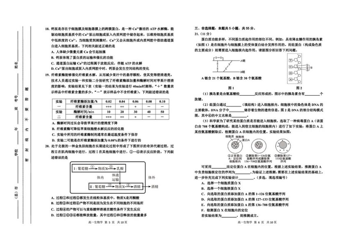 2025-2026学年吉林省延边朝鲜族自治州高一上学期期末生物试卷（含答案）第3页