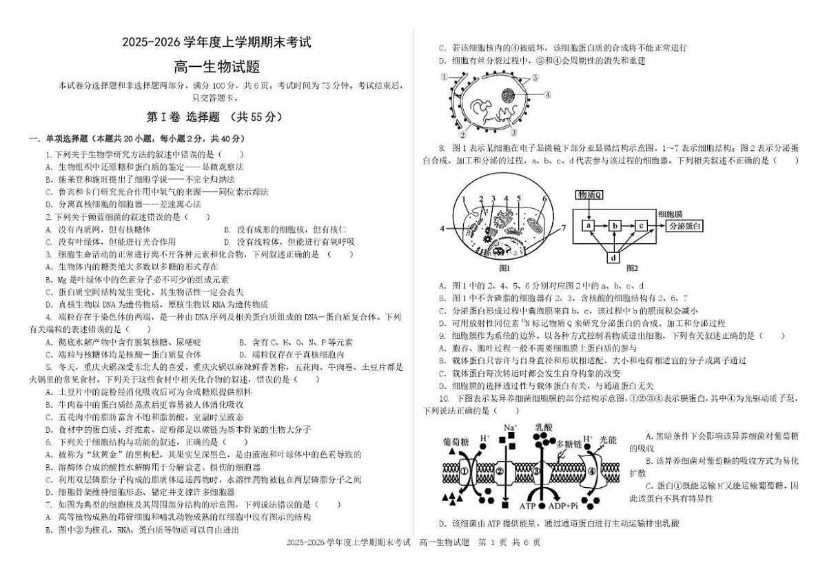 2025-2026学年吉林省延边朝鲜族自治州延吉市延边第二中学高一上学期1月期末生物试题（含答案）第1页