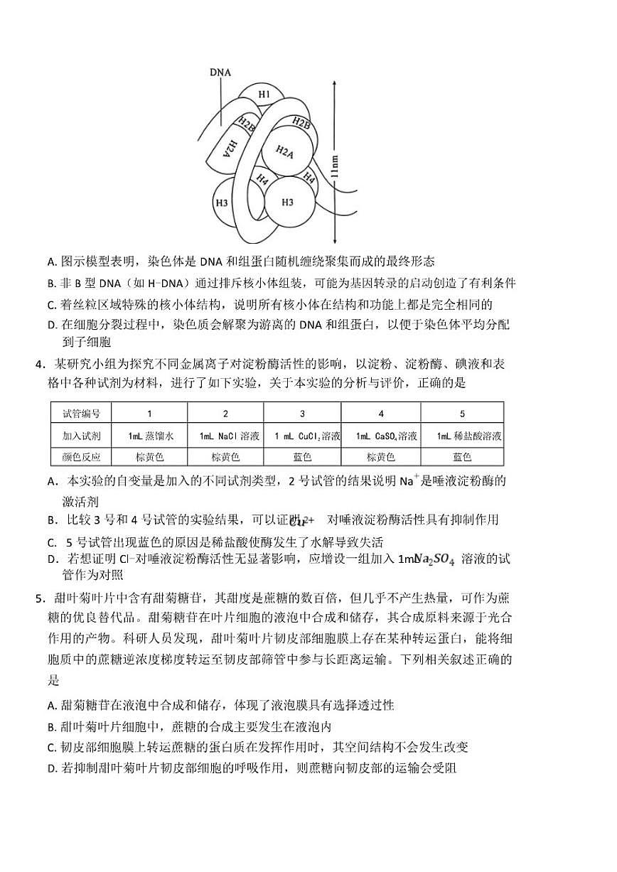 2025-2026学年河南省南阳市六校联考高三上学期1月期末生物试题（含解析）第3页
