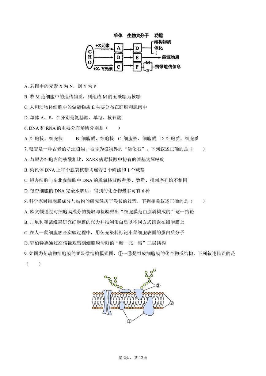 2025-2026学年黑龙江省大庆中学高一（上）期末生物试卷（含答案）第2页