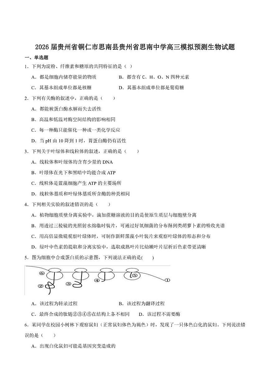 贵州省铜仁市思南中学2026届高三上学期模拟预测（一）生物试卷（含答案）第1页