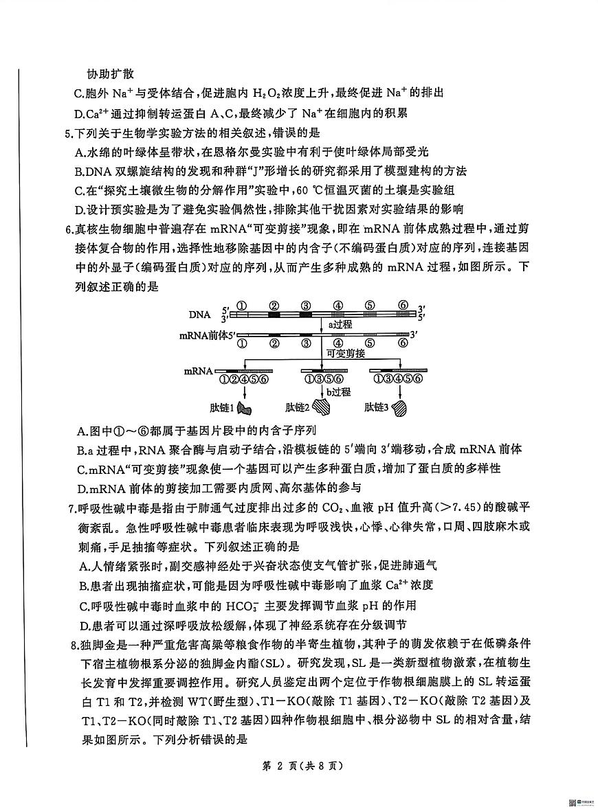 河北省1月联考2025-2026学年高三上学期1月月考生物试题第2页