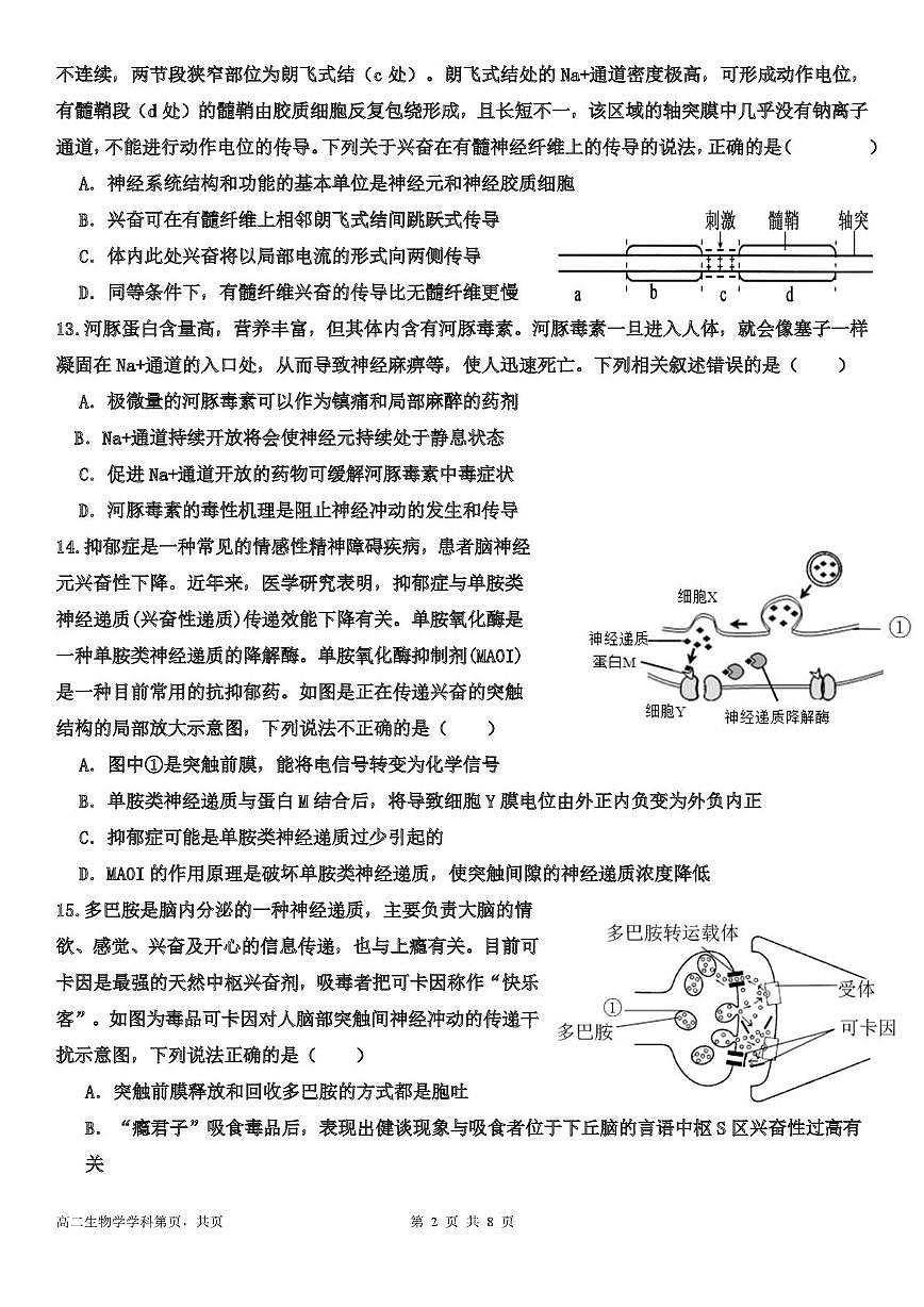 天津市武清区天和城实验中学2024-2025学年高二上学期第一次月考生物试卷第3页