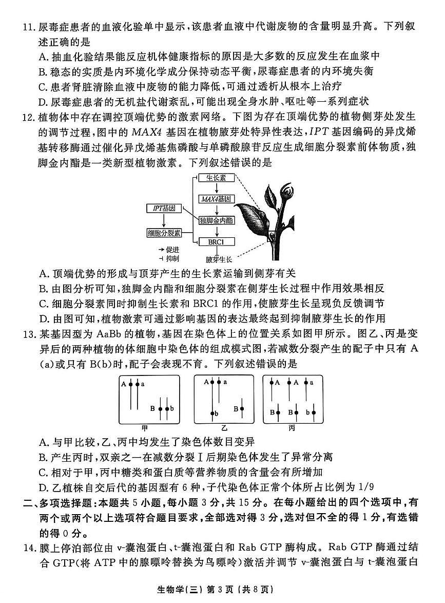 2026届河北省沧州市吴桥县河北省吴桥中学高三上学期学业水平选择性考试模拟试题(三) 生物试题（高考模拟）第3页