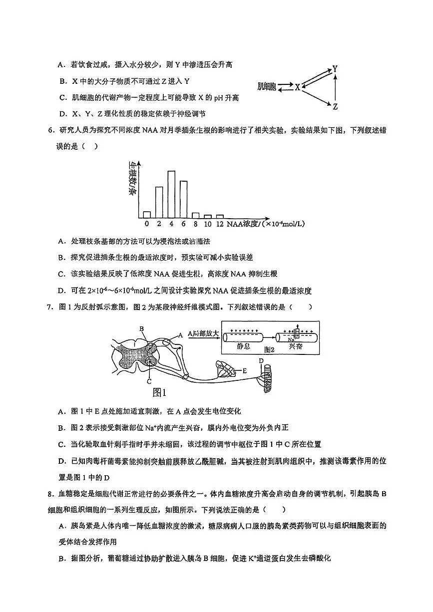 天津市武清区杨村第四中学2025-2026学年高二上学期第二次练习生物试题（月考）第2页